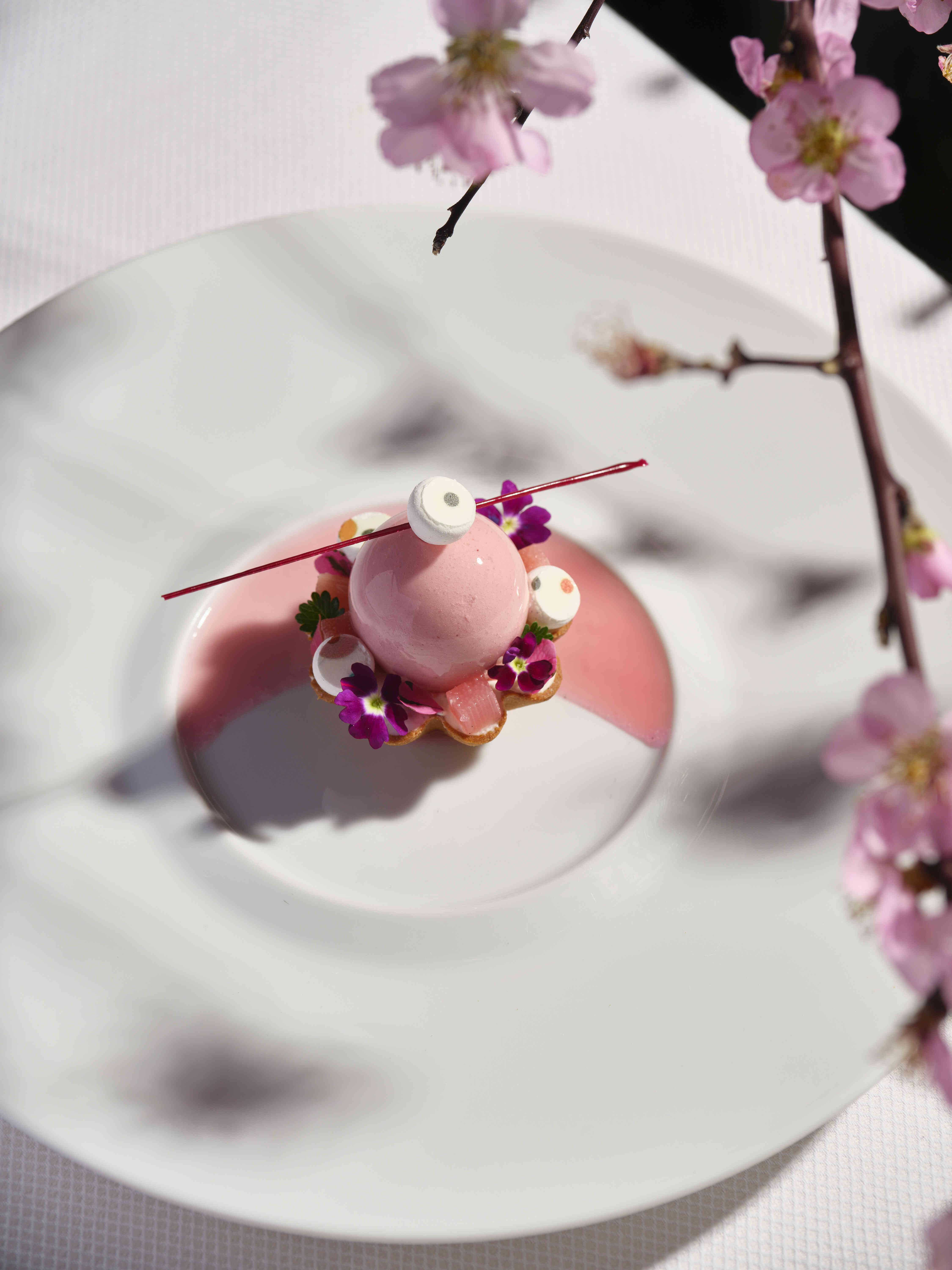 Anantara_Palazzo_Naiadi_Rome_Hotel_INEO_Restaurant_Dessert_Rhubarb_Strawberries_Java pepper